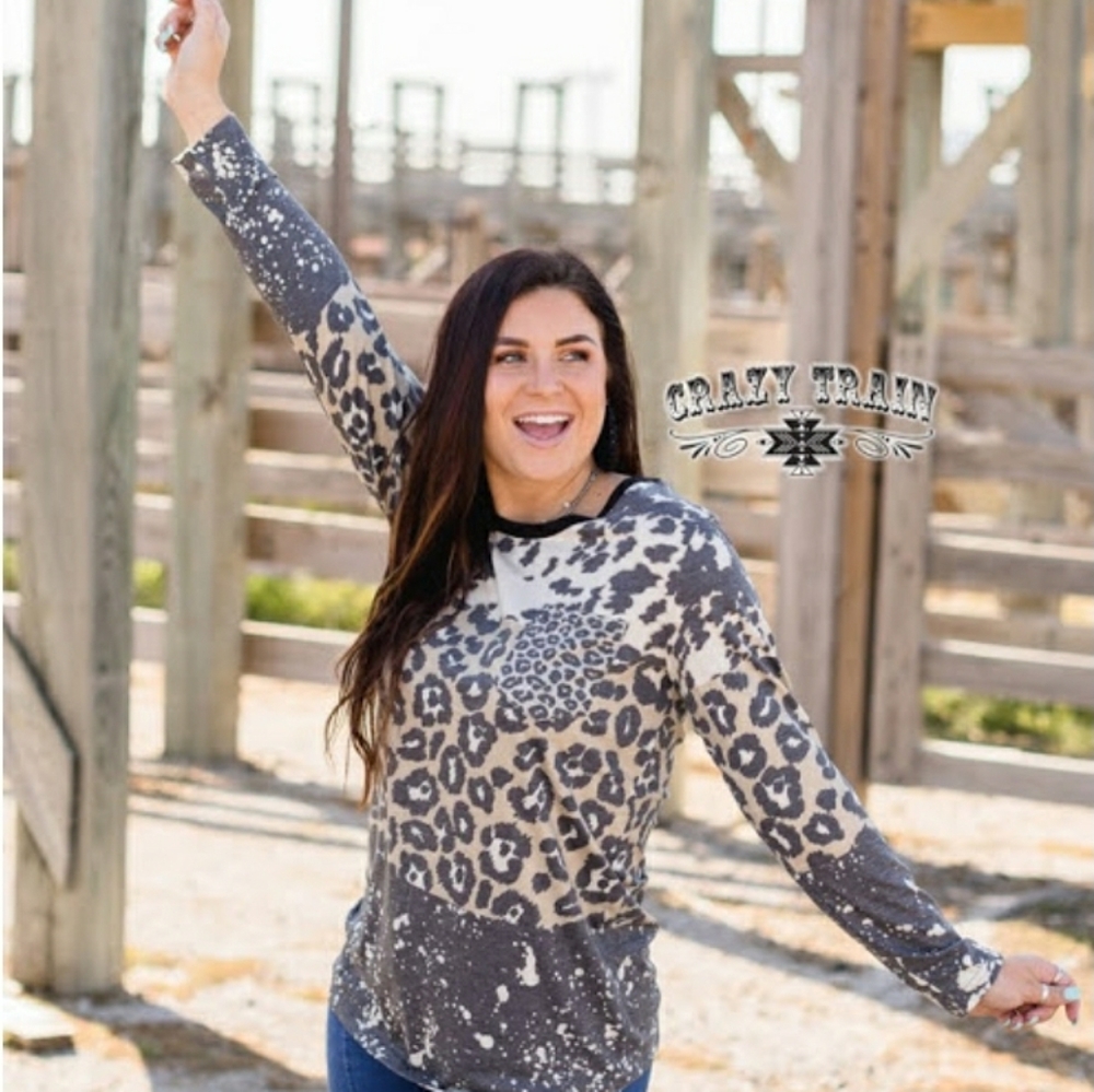 Crazy Train Ramblin Rock top